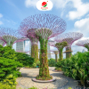 Khám phá SINGAPORE - MALAYSIA
