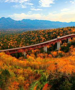 Alternative view of Nhật Bản mùa thu: CUNG ĐƯỜNG VÀNG TOKYO – PHÚ SĨ – KYOTO – OSAKA – KOBE – NAGOYA – YAMANASHI