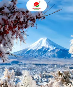 Nhật Bản Tết dương lịch: OSAKA – NÚI PHÚ SĨ – KYOTO – CHUBU – NAGOYA – YAMANASHI