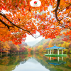 Hàn Quốc mùa thu: SEOUL - NAMI - EVERLAND