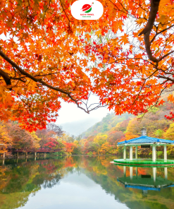 Hàn Quốc mùa thu: SEOUL - NAMI - EVERLAND