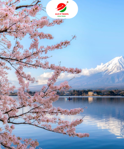 Nhật Bản: CUNG ĐƯỜNG VÀNG TOKYO – PHÚ SĨ – KYOTO – OSAKA – KOBE – NAGOYA – YAMANASHI