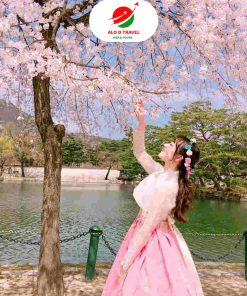 Khám phá Hàn Quốc: SEOUL – NAMI – LOTTE WORLD – LÀNG CỔ NAMSAN – HẢI ÂU