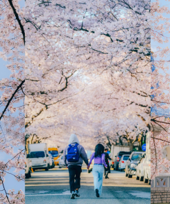 Alternative view of Khám phá Hàn Quốc: SEOUL – NAMI – LOTTE WORLD – LÀNG CỔ NAMSAN – HẢI ÂU