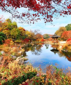 Alternative view of Hàn Quốc: ĐẢO NAMI – EVERLAND –  LÀNG CỔ NAMSAN – HẢI ÂU