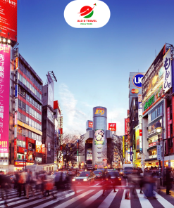 Nhật Bản: TOKYO – NÚI PHÚ SĨ
