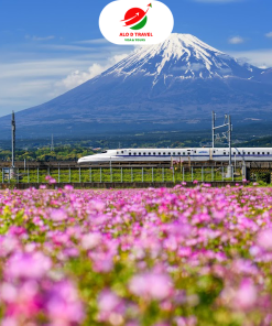 Nhật Bản: CUNG ĐƯỜNG VÀNG TOKYO – NÚI PHÚ SĨ – YAMANASHI – OSAKA – KYOTO – NAGOYA