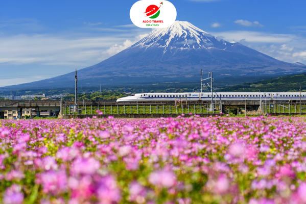 Nhật Bản: CUNG ĐƯỜNG VÀNG TOKYO – NÚI PHÚ SĨ – YAMANASHI – OSAKA – KYOTO – NAGOYA