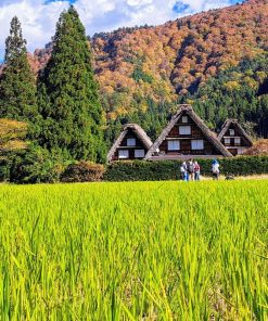 Alternative view of Nhật Bản Lễ 01/05: LỄ HỘI HOA CHI ANH – NAGOYA – GIFU – TAKAYAMA – NAGANO FIJI – TOKYO