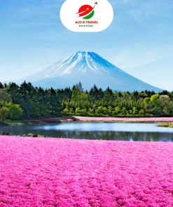 Nhật Bản Lễ 01/05: LỄ HỘI HOA CHI ANH – NAGOYA – GIFU – TAKAYAMA – NAGANO FIJI – TOKYO