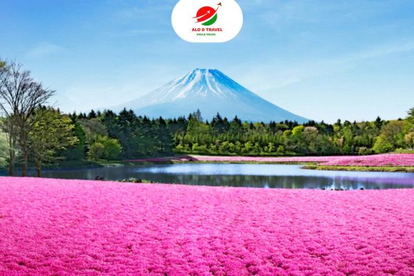 Nhật Bản Lễ 01/05: LỄ HỘI HOA CHI ANH – NAGOYA – GIFU – TAKAYAMA – NAGANO FIJI – TOKYO
