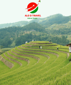 TP.HCM – NGHĨA LỘ - TÚ LỆ - MÙ CANG CHẢI –  SAPA – FANSIPAN - BẮC HÀ
